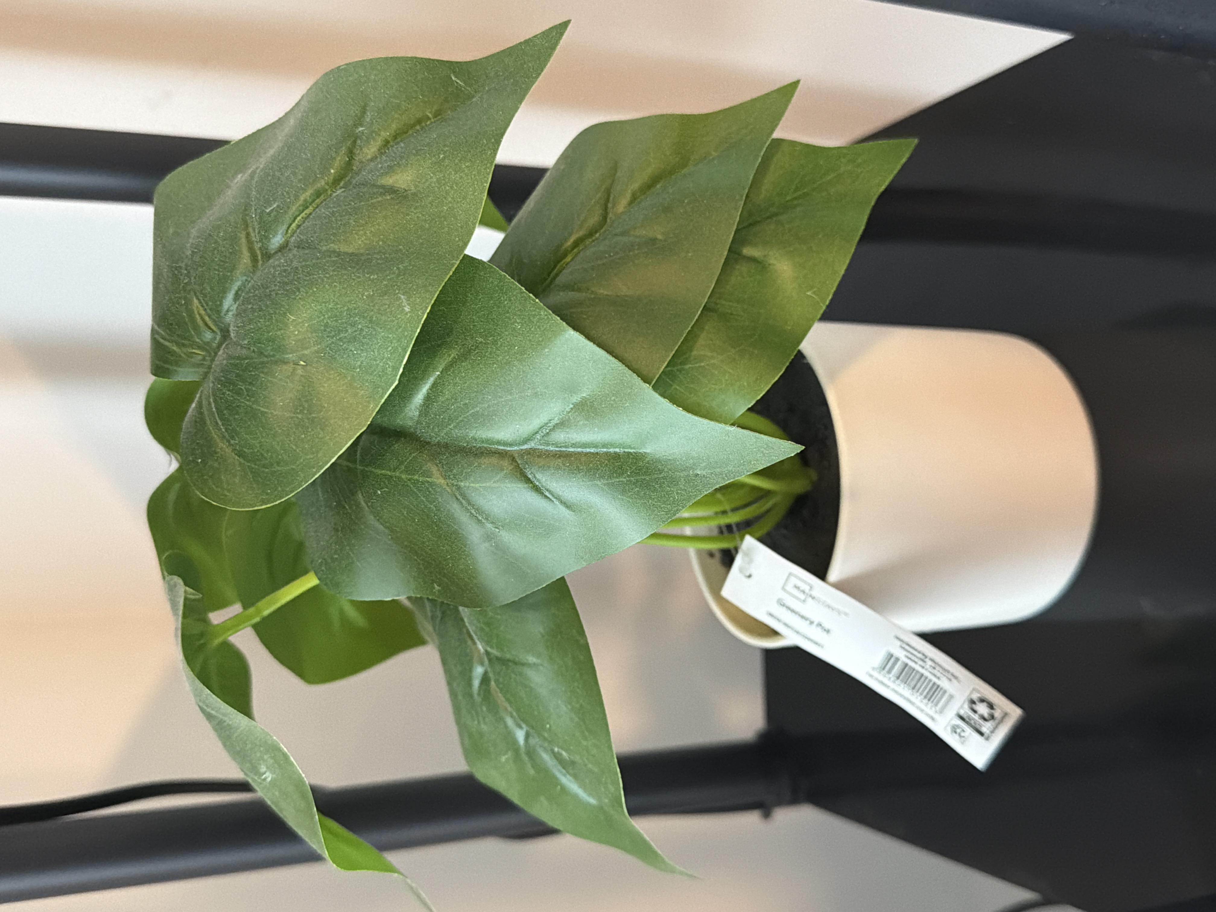 Small artificial Plant